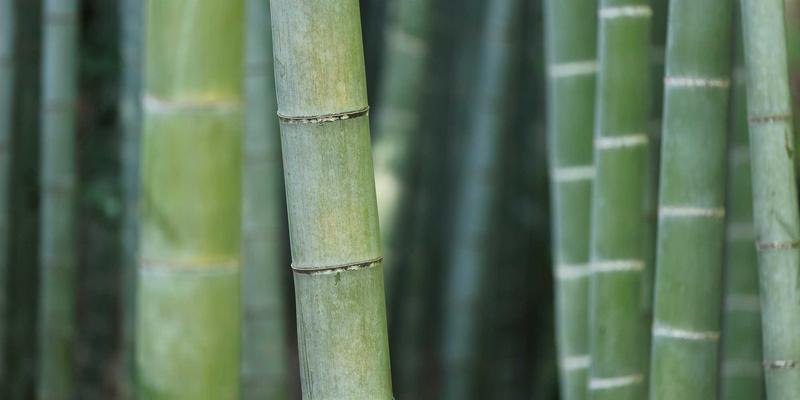 2024年曲靖保障房申请全攻略:公租房、廉租房最新政策与申请流程详解,助您安家珠江源