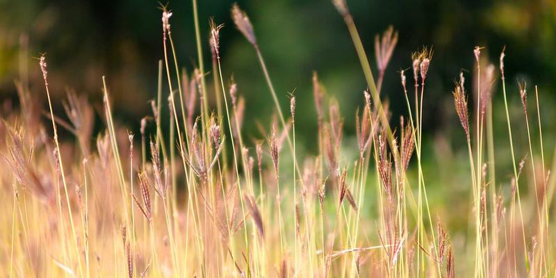 曲靖二手车交易避坑指南：本地门户与旅游视角下的精明之选