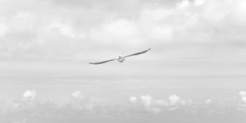 曲靖周末亲子游全攻略：从美食探索到宜居生活，解锁家庭欢乐时光