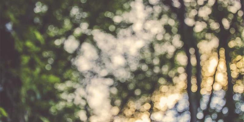 曲靖生活全攻略：医保报销比例详解，兼谈旅游美食与安家置业