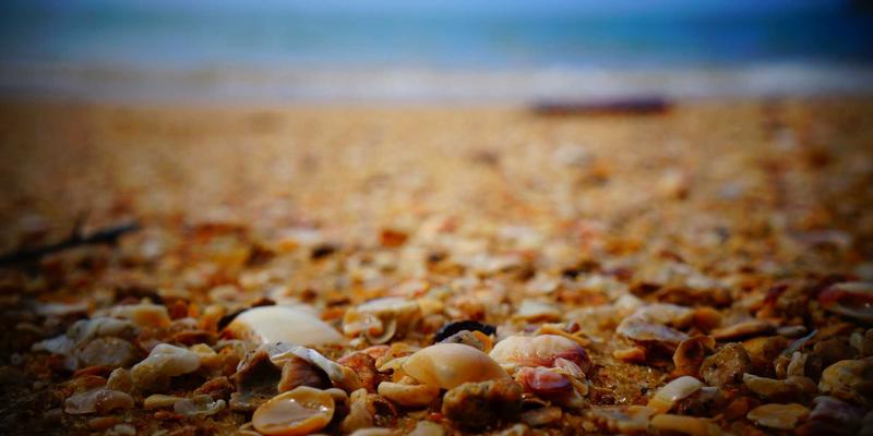 曲靖自驾游终极攻略：穿越会泽古城、金色罗平，邂逅滇东秘境与特色美宿