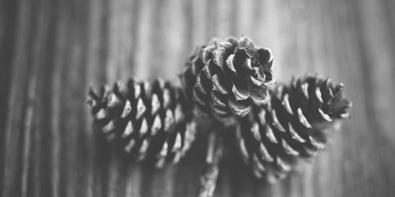 曲靖门户聚焦：一文读懂新能源汽车充电桩分布图，主流站点、费用及家用桩安装全指南