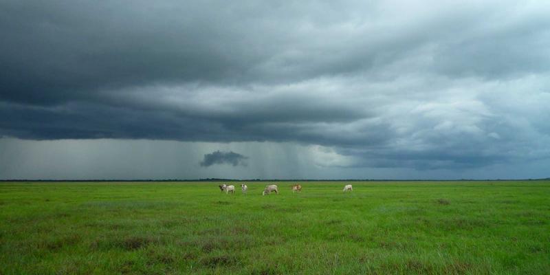 雨季漫游曲靖：从城市易涝点到山林徒步，这份安全指南与美食地图请收好